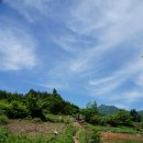 금계농로 이미지