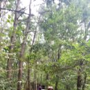 수원지경로당 이미지