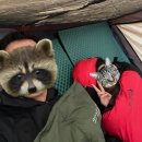 큰무리어촌계 | [울릉] 3박 5일 울릉도 여행의 모든 것: 숙박편(캠핑/차박)