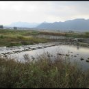 백양사역 이미지