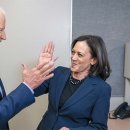 야심만만 이미지