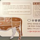 우장갈비
