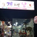 개이쁜냥 이미지