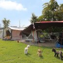 피플앤독 이미지