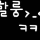 노란호랭이