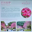 중정 | 대만 여행 중 가봐야 할곳 '중정기념당' 방문 후기