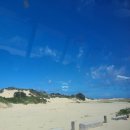 그늘막35 | 호주 포트스테판 투어 모래썰매 복장 및 후기 Anna Bay 샌드보딩 체험