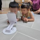 삼촌이모과일 | 나름대로 문장으로 얘기함, 고양1박2일여행, 이모삼촌이랑태안여행, 고양어린이박물관 키즈카페를 즐기다
