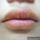 메어리벳의원 이미지