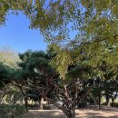 한강시민공원(자연학습장) | 뚝섬 한강공원 제2주차장 텐트 설치 가능한곳