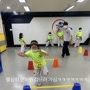 용인대 효 태권도장 이미지