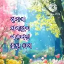 온듯 Daum카페