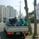 ***** 새마을의 날 천호대로 태극기와 새마을기 게양(용답동) ***** 이미지