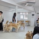 뭉스벨리 이미지