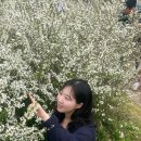 화신약국 | 대전 1박2일 뚜벅이 커플여행, 노잼도시가 아니라 사랑의 도시