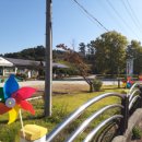 갈숲마을 이미지