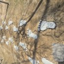 수안보온천길 이미지