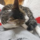 남창원동물병원 이미지