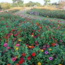 문암가든 이미지