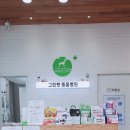 그린펫동물병원 이미지