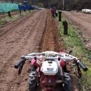 못자리골 농장 이미지