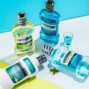 라임덴탈 이미지