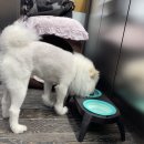 프로샵당구장 이미지