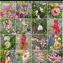 상부농장(2농장) 이미지