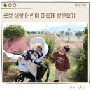 심청농장 | 24년 10월 곡성 심청 어린이 축제 여행기