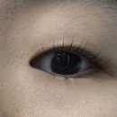 수인래쉬 | 무쌍 눈매도 잘 파악해 시술해주는 선릉역속눈썹펌 잘하는 곳 래쉬포유 방문 후기