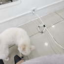 상대원3동공영주차장 | 성남 상대원미용실 심야에도 가능한 손쌀롱 복구매직 후기