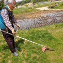 김미경농장 이미지