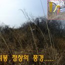 진도문화원 이미지