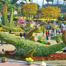 섬꽃공원 이미지