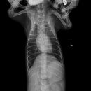 아쿠아 종합동물병원 이미지