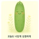 닥터고 건강