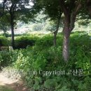 느티나무농장 이미지