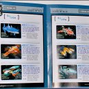 장보고PC 이미지