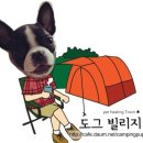 도그빌리지 이미지