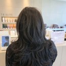 옥정중앙약국 | 양주 옥정동 미용실에서 경험한 트리니티헤어 옥정중앙역점의 특별한 하루 양주옥정 미용실