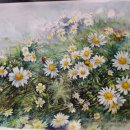 수채화(일요일반) 이미지