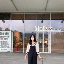 몰리스펫샵(스타필드 하남) 이미지