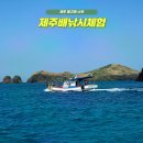 제주 돌고래 스팟에서 배낚시체험 후기