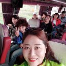 참우리공인중개사사무소 이미지