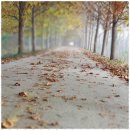 삼호리체공인중개사사무소 | 첨단부동산 믿음직한 파트너, 명품리버파크 부동산 후기