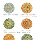 청록청과 네이버블로그