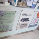 속초동물의료센터 이미지