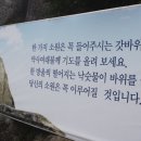 갓바위 소원성취길 이미지