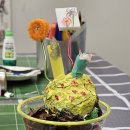 반여초교 병설유치원 이미지