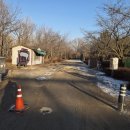 나무고아원입구 이미지